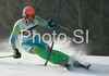 Bernard Vajdic of Slovenia skiing in first run of Men slalom race of Kranjska Gora Audi FIS Ski World Cup 2008-09. Slalom race of Men Audi FIS Ski World Cup 2008-09 was held in Kranjska Gora, Slovenia, on Sunday, 1st of February 2009.
