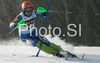 Johan Brolenius of Sweden skiing in first run of Men slalom race of Kranjska Gora Audi FIS Ski World Cup 2008-09. Slalom race of Men Audi FIS Ski World Cup 2008-09 was held in Kranjska Gora, Slovenia, on Sunday, 1st of February 2009.
