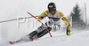Third placed Felix Neureuther of Germany skiing in second run of Men slalom race of Kranjska Gora Audi FIS Ski World Cup 2008-09. Slalom race of Men Audi FIS Ski World Cup 2008-09 was held in Kranjska Gora, Slovenia, on Sunday, 1st of March 2009.
