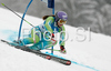 Leader after first run Tina Maze of Slovenia skiing in first run of Women giant slalom race of Ofterschwang Audi FIS Ski World Cup 2008-09. Giant slalom race of Women Audi FIS Ski World Cup 2008-09 was held in Ofterschwang, Germany, on Friday, 6th of March 2009.
