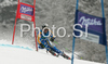 Anja Paerson of Sweden skiing in first run of Women giant slalom race of Ofterschwang Audi FIS Ski World Cup 2008-09. Giant slalom race of Women Audi FIS Ski World Cup 2008-09 was held in Ofterschwang, Germany, on Friday, 6th of March 2009.

