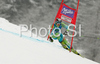 Mateja Robnik of Slovenia skiing in first run of Women giant slalom race of Ofterschwang Audi FIS Ski World Cup 2008-09. Giant slalom race of Women Audi FIS Ski World Cup 2008-09 was held in Ofterschwang, Germany, on Friday, 6th of March 2009.
