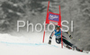 Giulia Gianesini of Italy skiing in first run of Women giant slalom race of Ofterschwang Audi FIS Ski World Cup 2008-09. Giant slalom race of Women Audi FIS Ski World Cup 2008-09 was held in Ofterschwang, Germany, on Friday, 6th of March 2009.
