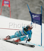 Lene Loeseth of Norway skiing in first run of Women giant slalom race of Ofterschwang Audi FIS Ski World Cup 2008-09. Giant slalom race of Women Audi FIS Ski World Cup 2008-09 was held in Ofterschwang, Germany, on Friday, 6th of March 2009.
