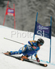 Frida Hansdotter of Sweden skiing in first run of Women giant slalom race of Ofterschwang Audi FIS Ski World Cup 2008-09. Giant slalom race of Women Audi FIS Ski World Cup 2008-09 was held in Ofterschwang, Germany, on Friday, 6th of March 2009.
