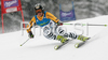 Ninth placed Kathrin Hoelzl of Germany skiing in second run of Women giant slalom race of Ofterschwang Audi FIS Ski World Cup 2008-09. Giant slalom race of Women Audi FIS Ski World Cup 2008-09 was held in Ofterschwang, Germany, on Friday, 6th of March 2009.
