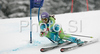 Fourth placed Tina Maze of Slovenia skiing in second run of Women giant slalom race of Ofterschwang Audi FIS Ski World Cup 2008-09. Giant slalom race of Women Audi FIS Ski World Cup 2008-09 was held in Ofterschwang, Germany, on Friday, 6th of March 2009.
