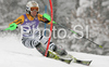 Kathrin Hoelzl of Germany skiing in first run of Women slalom race of Ofterschwang Audi FIS Ski World Cup 2008-09. Slalom race of Women Audi FIS Ski World Cup 2008-09 was held in Ofterschwang, Germany, on Saturday, 7th of March 2009.
