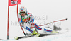Thomas Fanara of France skiing in second run of first Men GS FIS Alpine ski World Cup 2009-2010 race in Soelden, Austria. First giant slalom race of Men FIS Alpine ski World Cup was held on Rettenbach glacier above Soelden, Austria on 25th of October 2009. <br> 
