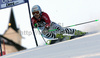 Leader after first run, Kathrin Hoelzl of Germany skiing in first run of women giant slalom World Cup race in Lienz, Austra. Giant slalom race of Women Audi FIS Alpine skiing World Cup 2009-10 was held in Lienz, Slovenia, on 28th of December 2009.
