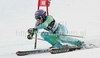 Tina Maze of Slovenia skiing in second run of women giant slalom World Cup race in Lienz, Austra. Giant slalom race of Women Audi FIS Alpine skiing World Cup 2009-10 was held in Lienz, Slovenia, on 28th of December 2009.
