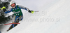 Frida Hansdotter of Sweden skiing in first run of women slalom World Cup race in Lienz, Austra. Slalom race of Women Audi FIS Alpine skiing World Cup 2009-10 was held in Lienz, Austria, on 29th of December 2009.
