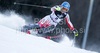 Second after first run, Marlies Schild of Austria skiing in first run of women Snow queen trophy slalom World Cup race in Zagreb, Croatia. Slalom race of Women Audi FIS Alpine skiing World Cup 2009-10 was held in on Sljeme above Zagreb, Croatia, on 3rd of January 2010.
