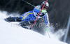 Anja Paerson of Sweden skiing in first run of women Snow queen trophy slalom World Cup race in Zagreb, Croatia. Slalom race of Women Audi FIS Alpine skiing World Cup 2009-10 was held in on Sljeme above Zagreb, Croatia, on 3rd of January 2010.
