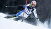 Nicole Gius of Italy skiing in first run of women Snow queen trophy slalom World Cup race in Zagreb, Croatia. Slalom race of Women Audi FIS Alpine skiing World Cup 2009-10 was held in on Sljeme above Zagreb, Croatia, on 3rd of January 2010.
