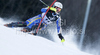 Frida Hansdotter of Sweden skiing in first run of women Snow queen trophy slalom World Cup race in Zagreb, Croatia. Slalom race of Women Audi FIS Alpine skiing World Cup 2009-10 was held in on Sljeme above Zagreb, Croatia, on 3rd of January 2010.
