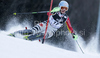 Kathrin Hoelzl of Germany skiing in first run of women Snow queen trophy slalom World Cup race in Zagreb, Croatia. Slalom race of Women Audi FIS Alpine skiing World Cup 2009-10 was held in on Sljeme above Zagreb, Croatia, on 3rd of January 2010.
