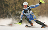 Frida Hansdotter of Sweden skiing in second run of women Snow queen trophy slalom World Cup race in Zagreb, Croatia. Slalom race of Women Audi FIS Alpine skiing World Cup 2009-10 was held in on Sljeme above Zagreb, Croatia, on 3rd of January 2010.
