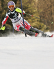 Michaela Kirchgasser of Austria skiing in second run of women Snow queen trophy slalom World Cup race in Zagreb, Croatia. Slalom race of Women Audi FIS Alpine skiing World Cup 2009-10 was held in on Sljeme above Zagreb, Croatia, on 3rd of January 2010.
