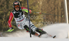 Christina Geiger of Germany skiing in second run of women Snow queen trophy slalom World Cup race in Zagreb, Croatia. Slalom race of Women Audi FIS Alpine skiing World Cup 2009-10 was held in on Sljeme above Zagreb, Croatia, on 3rd of January 2010.
