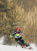 Ana Jelusic of Croatia skiing in second run of women Snow queen trophy slalom World Cup race in Zagreb, Croatia. Slalom race of Women Audi FIS Alpine skiing World Cup 2009-10 was held in on Sljeme above Zagreb, Croatia, on 3rd of January 2010.
