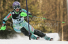 Tina Maze of Slovenia skiing in second run of women Snow queen trophy slalom World Cup race in Zagreb, Croatia. Slalom race of Women Audi FIS Alpine skiing World Cup 2009-10 was held in on Sljeme above Zagreb, Croatia, on 3rd of January 2010.
