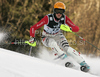 Third placed Susanne Riesch of Germany skiing in second run of women Snow queen trophy slalom World Cup race in Zagreb, Croatia. Slalom race of Women Audi FIS Alpine skiing World Cup 2009-10 was held in on Sljeme above Zagreb, Croatia, on 3rd of January 2010.
