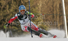 Marlies Schild of Austria skiing in second run of women Snow queen trophy slalom World Cup race in Zagreb, Croatia. Slalom race of Women Audi FIS Alpine skiing World Cup 2009-10 was held in on Sljeme above Zagreb, Croatia, on 3rd of January 2010.
