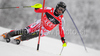 Leader after first run, Reinfried Herbst of Austria skiing in first run of men Snow queen trophy slalom World Cup race in Zagreb, Croatia. Slalom race of Men Audi FIS Alpine skiing World Cup 2009-10 was held on Sljeme above Zagreb, Croatia, on 6th of January 2010.
