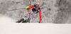 Felix Neureuther of Germany skiing in first run of men Snow queen trophy slalom World Cup race in Zagreb, Croatia. Slalom race of Men Audi FIS Alpine skiing World Cup 2009-10 was held on Sljeme above Zagreb, Croatia, on 6th of January 2010.
