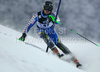 Axel Baeck of Sweden skiing in first run of men Snow queen trophy slalom World Cup race in Zagreb, Croatia. Slalom race of Men Audi FIS Alpine skiing World Cup 2009-10 was held on Sljeme above Zagreb, Croatia, on 6th of January 2010.
