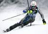 Andre Myhrer of Sweden skiing in first run of men Snow queen trophy slalom World Cup race in Zagreb, Croatia. Slalom race of Men Audi FIS Alpine skiing World Cup 2009-10 was held on Sljeme above Zagreb, Croatia, on 6th of January 2010.
