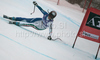 Nadia Fanchini of Italy skiing during women downhill race of Audi FIS alpine skiing World Cup in Haus im Ennstal, Austria. Downhill race of Women Audi FIS Alpine skiing World Cup 2009-10 was held in Haus im Ennstal, Austria, on 9th of January 2010.
