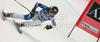 Daniela Ceccarelli of Italy skiing during women downhill race of Audi FIS alpine skiing World Cup in Haus im Ennstal, Austria. Downhill race of Women Audi FIS Alpine skiing World Cup 2009-10 was held in Haus im Ennstal, Austria, on 9th of January 2010.
