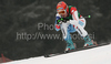 Ninth placed Nadia Styger of Switzerland skiing during women Super-G race of Audi FIS alpine skiing World Cup in Haus im Ennstal, Austria. Super-G race of Women Audi FIS Alpine skiing World Cup 2009-10 was held in Haus im Ennstal, Austria, on 10th of January 2010.
