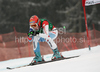 Ninth placed Nadia Styger of Switzerland skiing during women Super-G race of Audi FIS alpine skiing World Cup in Haus im Ennstal, Austria. Super-G race of Women Audi FIS Alpine skiing World Cup 2009-10 was held in Haus im Ennstal, Austria, on 10th of January 2010.
