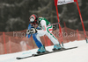 Third placed Nadia Fanchini of Italy skiing during women Super-G race of Audi FIS alpine skiing World Cup in Haus im Ennstal, Austria. Super-G race of Women Audi FIS Alpine skiing World Cup 2009-10 was held in Haus im Ennstal, Austria, on 10th of January 2010.
