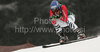 Viktoria Rebensburg of Germany skiing during women Super-G race of Audi FIS alpine skiing World Cup in Haus im Ennstal, Austria. Super-G race of Women Audi FIS Alpine skiing World Cup 2009-10 was held in Haus im Ennstal, Austria, on 10th of January 2010.
