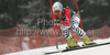 Kathrin Hoelzl of Germany skiing during women Super-G race of Audi FIS alpine skiing World Cup in Haus im Ennstal, Austria. Super-G race of Women Audi FIS Alpine skiing World Cup 2009-10 was held in Haus im Ennstal, Austria, on 10th of January 2010.
