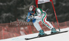Elena Fanchini of Italy skiing during women Super-G race of Audi FIS alpine skiing World Cup in Haus im Ennstal, Austria. Super-G race of Women Audi FIS Alpine skiing World Cup 2009-10 was held in Haus im Ennstal, Austria, on 10th of January 2010.
