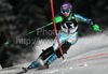 Tina Maze of Slovenia skiing in first run of Women slalom race of Audi FIS alpine skiing World Cup in Flachau, Austria. Slalom race of Women Audi FIS Alpine skiing World Cup 2009-10 was held in Flachau, Austria, on 12th of January 2010.
