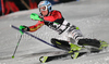 Kathrin Hoelzl of Germany skiing in first run of Women slalom race of Audi FIS alpine skiing World Cup in Flachau, Austria. Slalom race of Women Audi FIS Alpine skiing World Cup 2009-10 was held in Flachau, Austria, on 12th of January 2010.
