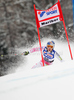 Second after first run Lindsey Vonn of USA skiing in first run of Women giant slalom race of Audi FIS alpine skiing World Cup in Maribor, Slovenia. Giant slalom race of Women Audi FIS Alpine skiing World Cup 2009-10 was held in Maribor, Slovenia, on 16th of January 2010.
