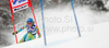 Ilka Stuhec of Slovenia skiing in first run of Women giant slalom race of Audi FIS alpine skiing World Cup in Maribor, Slovenia. Giant slalom race of Women Audi FIS Alpine skiing World Cup 2009-10 was held in Maribor, Slovenia, on 16th of January 2010.
