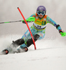 Ninth after first run Tina Maze of Slovenia skiing in first run of Women slalom race of Audi FIS alpine skiing World Cup in Maribor, Slovenia. Slalom race of Women Audi FIS Alpine skiing World Cup 2009-10 was held in Maribor, Slovenia, on 17th of January 2010.
