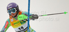 Ninth after first run Tina Maze of Slovenia skiing in first run of Women slalom race of Audi FIS alpine skiing World Cup in Maribor, Slovenia. Slalom race of Women Audi FIS Alpine skiing World Cup 2009-10 was held in Maribor, Slovenia, on 17th of January 2010.
