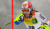 Nicole Gius of Italy skiing in first run of Women slalom race of Audi FIS alpine skiing World Cup in Maribor, Slovenia. Slalom race of Women Audi FIS Alpine skiing World Cup 2009-10 was held in Maribor, Slovenia, on 17th of January 2010.

