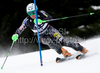 Ted Ligety (USA) attacks a control gate while competing in the mens Hahnenkamm slalom race part of the  70th Hahnenkamm Rennen race weekend, which is a fixture on the 2009/10 Audi FIS Alpine Skiing World Cup. Slalom race of men Audi FIS Alpine skiing World cup was held in Kitzbuhel, Austria, on 24th of January 2010.
