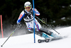 Steve Missillier (FRA) attacks a control gate while competing in the mens Hahnenkamm slalom race part of the  70th Hahnenkamm Rennen race weekend, which is a fixture on the 2009/10 Audi FIS Alpine Skiing World Cup. Slalom race of men Audi FIS Alpine skiing World cup was held in Kitzbuhel, Austria, on 24th of January 2010.
