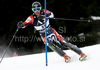 Kilian Albrecht (BUL) attacks a control gate while competing in the mens Hahnenkamm slalom race part of the  70th Hahnenkamm Rennen race weekend, which is a fixture on the 2009/10 Audi FIS Alpine Skiing World Cup. Slalom race of men Audi FIS Alpine skiing World cup was held in Kitzbuhel, Austria, on 24th of January 2010.
